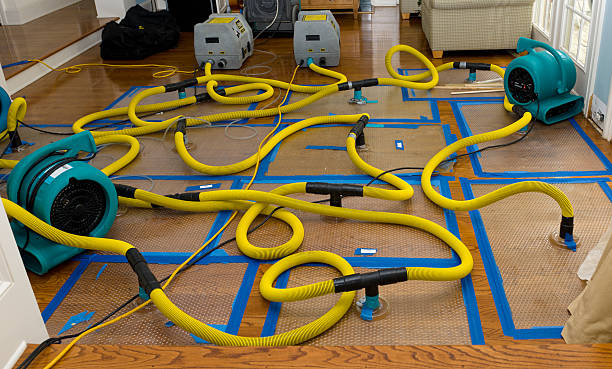 Professional Crawl Space Water Removal technician working in Union City, NJ
